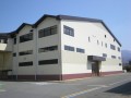 11b
